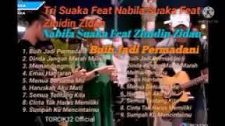 album coper zidan