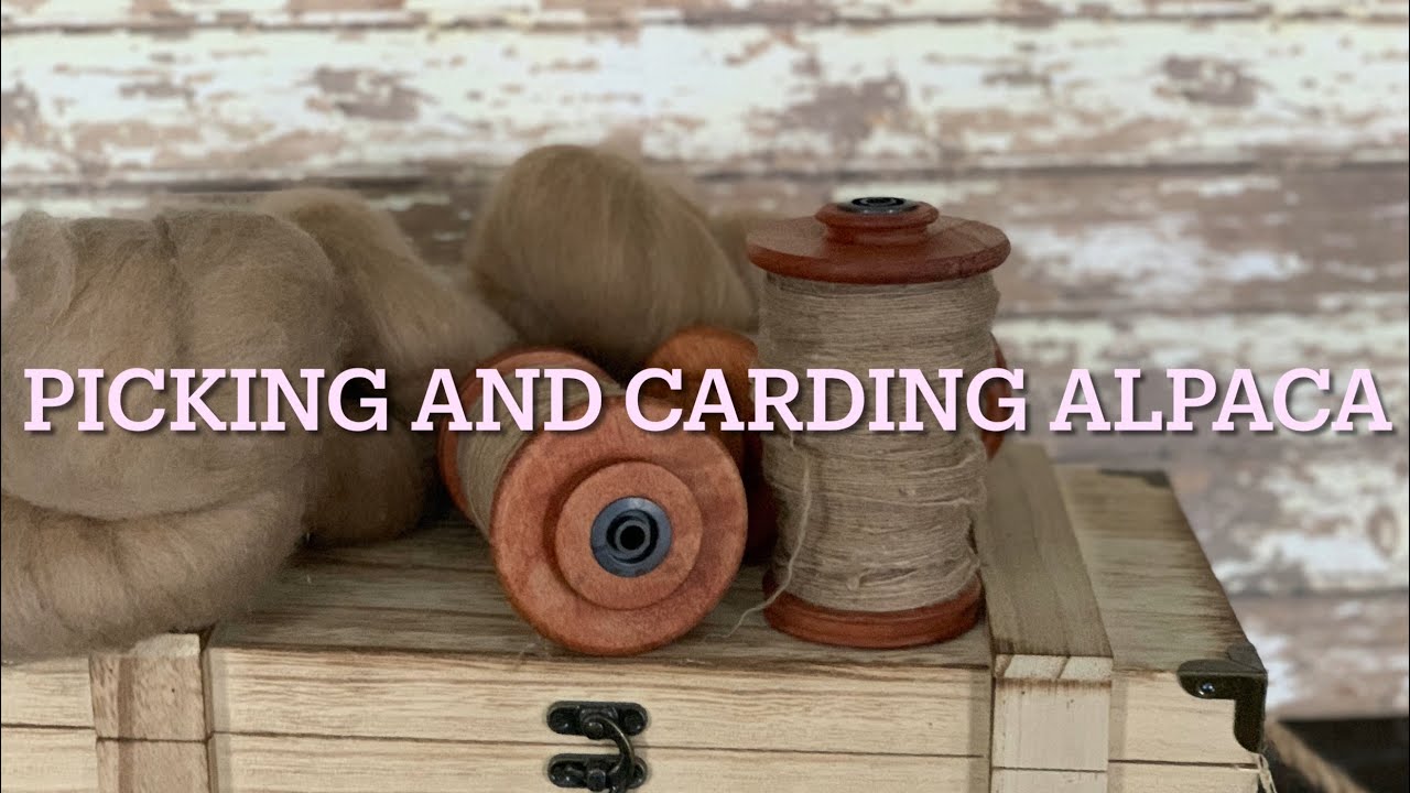 Picking and Carding Alpaca