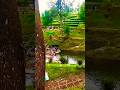 kesini aja guys adem dan sejuk#wisata #vidioshort