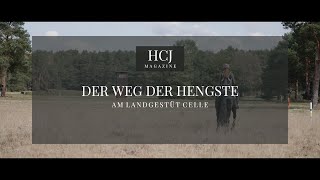 Der Weg eines Hengstes am Landgestüt Celle - Youngster, S-Sieger und Ruhestandspferde