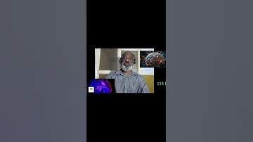 Epigenetics and Brain Plasticity: The Hidden Forces Behind Our Thoughts