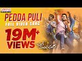 Pedda puli full video song chal mohan ranga movie songs nithiin megha akash thaman s mp3