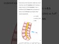 طريقة اعطاء المورفين    