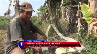 Kekeringan di Desa Bogor haruskan petani menyewa mesin pompa air - NET12