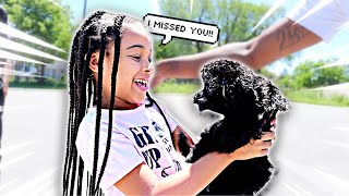 VISITING CALI'S PUPPY **emotional**