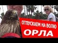 ЕГИПЕТ: ОТПУСКАЕМ ОРЛА НА ВОЛЮ!!! ПРОЩАЙ ДУСЯ!!! (рус. субтитры)