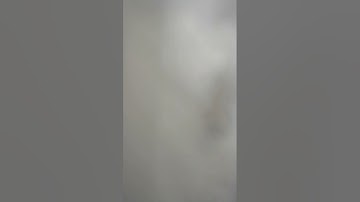 صلاة العشاء بمسجد الرحمة بعزبة جبران بمصر يوم الإثنين (٣)رمضان (١٤٤٤٦) هجري، القارئ همام عادل شاهين