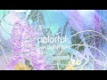楪-yuzuriha-「COLORFUL」