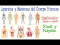 Aparatos y sistemas del cuerpo humano  fcil y rpido  biologa 