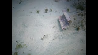 I found 10 euros in the oceans!