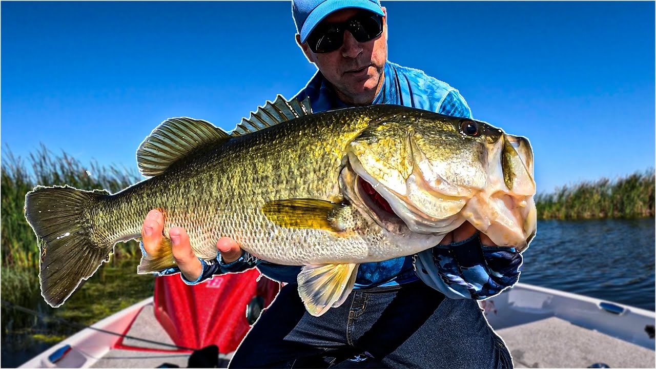 Two Simple Ways to Catch Big Bass with Speed Worms 