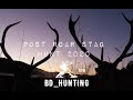 Red Stag Hunting NZ Post Roar Stag Hunt 2020