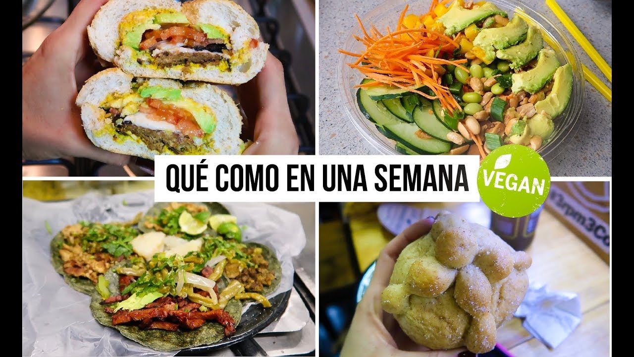 LO QUE COMO EN UNA SEMANA VEGANO FIT Y DELI 🌿💪🏽🍲