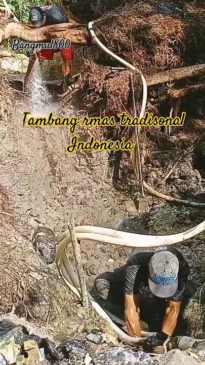 TAMBANG EMAS TRADISIONAL INDONESI TANAH AIR BETA#tambang #emas #mesinrobin #gold #shortsvideo