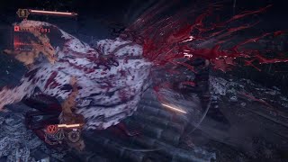 NINJA GAIDEN 4 Pole screenshot 3