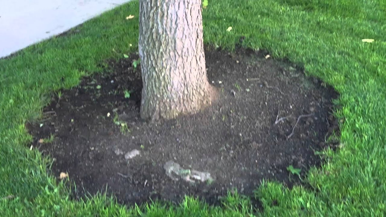 videooven outdoor adventures episode #1