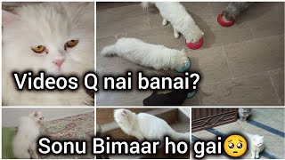 Itne dino se videos q nai banai? || Sonu ki tbyt achanak khrab ho gai || Back to normal routine