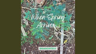 When Spring Arrives...