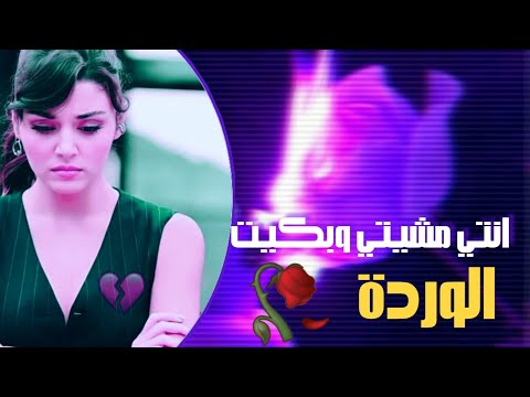 انتي مشيتي وبكيت الوردة حالات واتس اب حب غرام
