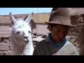 L'enfant au lama blanc face au désert de sel