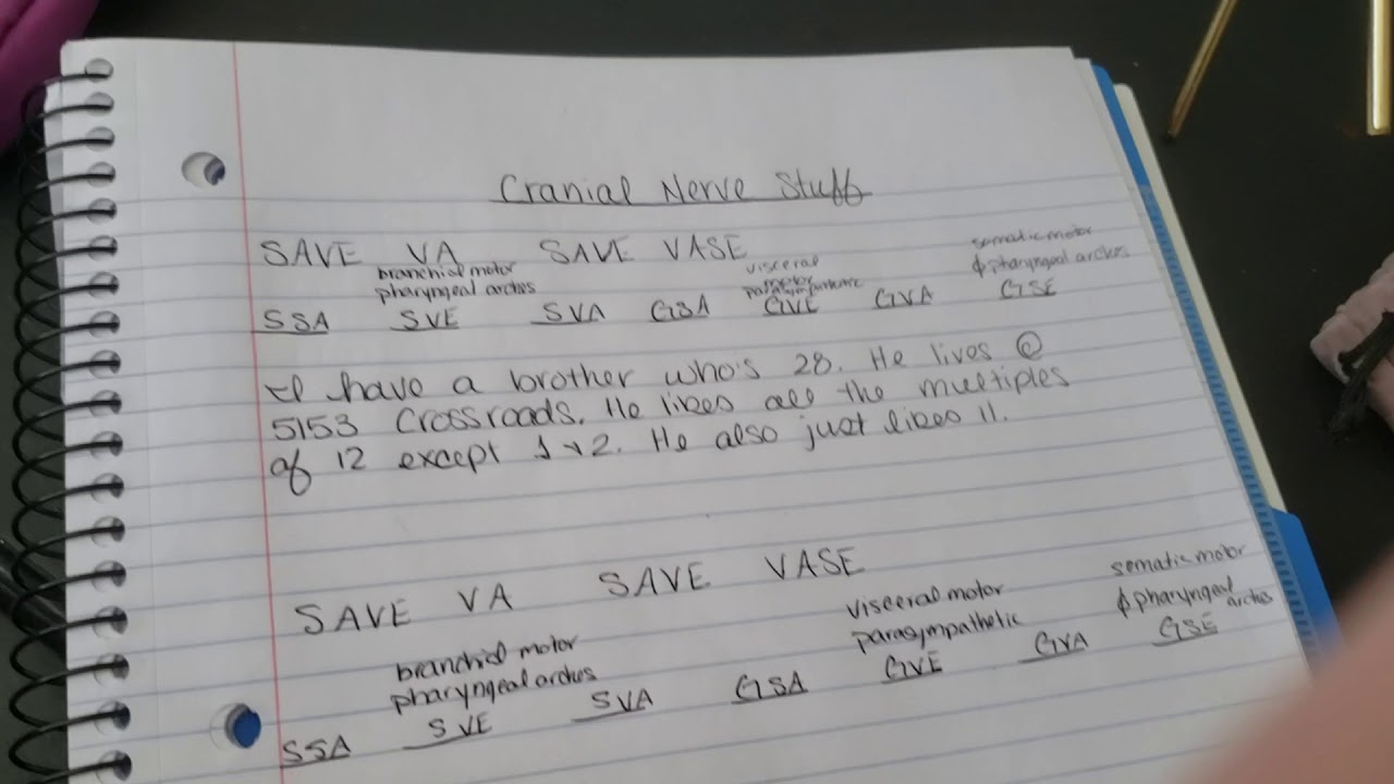 Mnemonic for Cranial Nerve Components: SSA, SVE, SVA, GSA, GVE, GVA ...