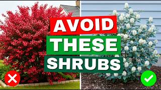 STOP PLANTING OLD SHRUBS! 5 BRAND NEW 2026 BUSHES BEFORE THEY SELL OUT!