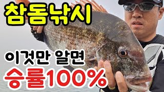 참돔낚시!! 이것만 알면 승률100% !!