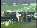 1981 William Hill Scottish National Handicap Chase - YouTube