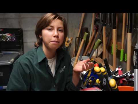 nature kpop Conservation Volunteers – Spotlight on Invasive Species