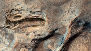 Детальные снимки Марса