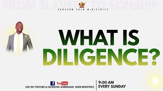 What Is Diligence?