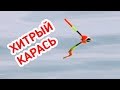 РЫБАЛКА / КЛЁВ ХИТРОГО КАРАСЯ крупным планом на ПОПЛАВОК!