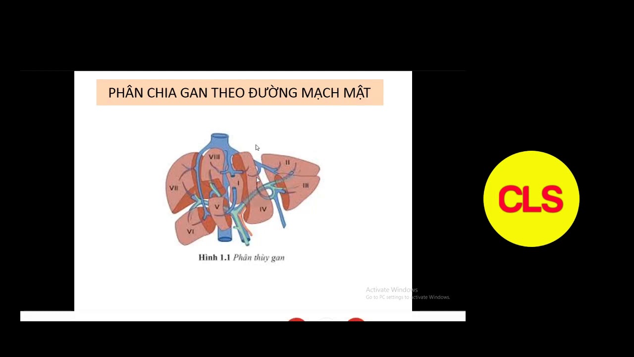 SINH VIÊN Y KHOA  KHÁM GAN  MẬT Mục tiêu học tập Trình bày được cách khám  ganmật Đánh giá được các xét nghiệm cận lâm sàng chức năng gan mật