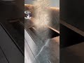 High-End Custom Stainless Cabinet Install: Luxury Kitchen Glow-Up 2025!