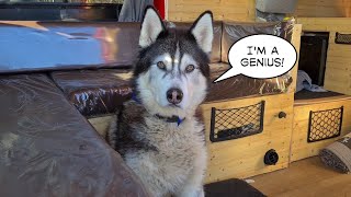 Husky's idea is Genius! I can't believe I didn't think of it!