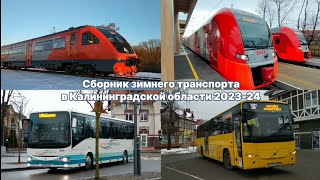 Сборник зимнего транспорта в Калининградской области 2023 - 2024