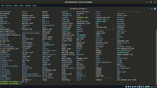 LMDE part 2 - command line interface, file structure, navigation, systemctl, journalctl and man