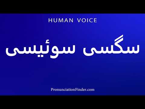 How To Pronounce Swiss Sable