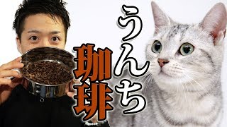 【コピルアク】超高級！ジャコウネコの糞のコーヒーを焙煎して飲んでみた！/ Kopi Luwak