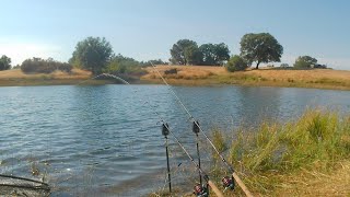 Secret Easy Bank Fishing Access Summer Catfish and Carp Explained (Pardee Reservoir)