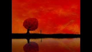 Jamie woon - You re Not Alone
