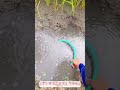 池で魚取りに挑戦!たらい網で小魚ゲット – Satisfying Fishing Moments 🐟