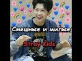 Смешные и милые моменты со Stray Kids