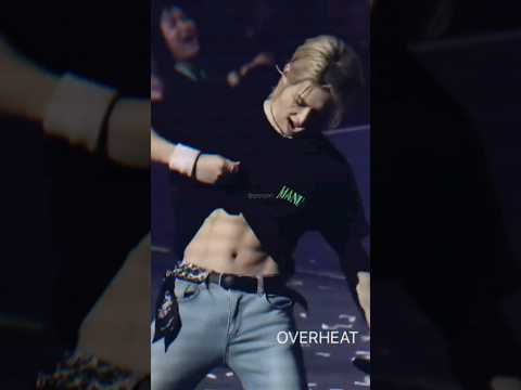 stray kids in