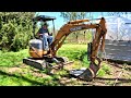 Calves beef gardening and trying out the new excavator