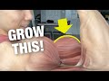 How to Grow Your Biceps Peak (DO THIS‼️)