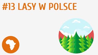 Lasy W Polsce Środowisko Przyrodnicze Polski