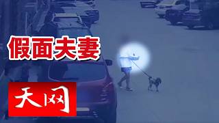 《天网》“埋雷”交易毒品 寻常夫妻为何选择结成贩毒搭档走上不归路？20261019