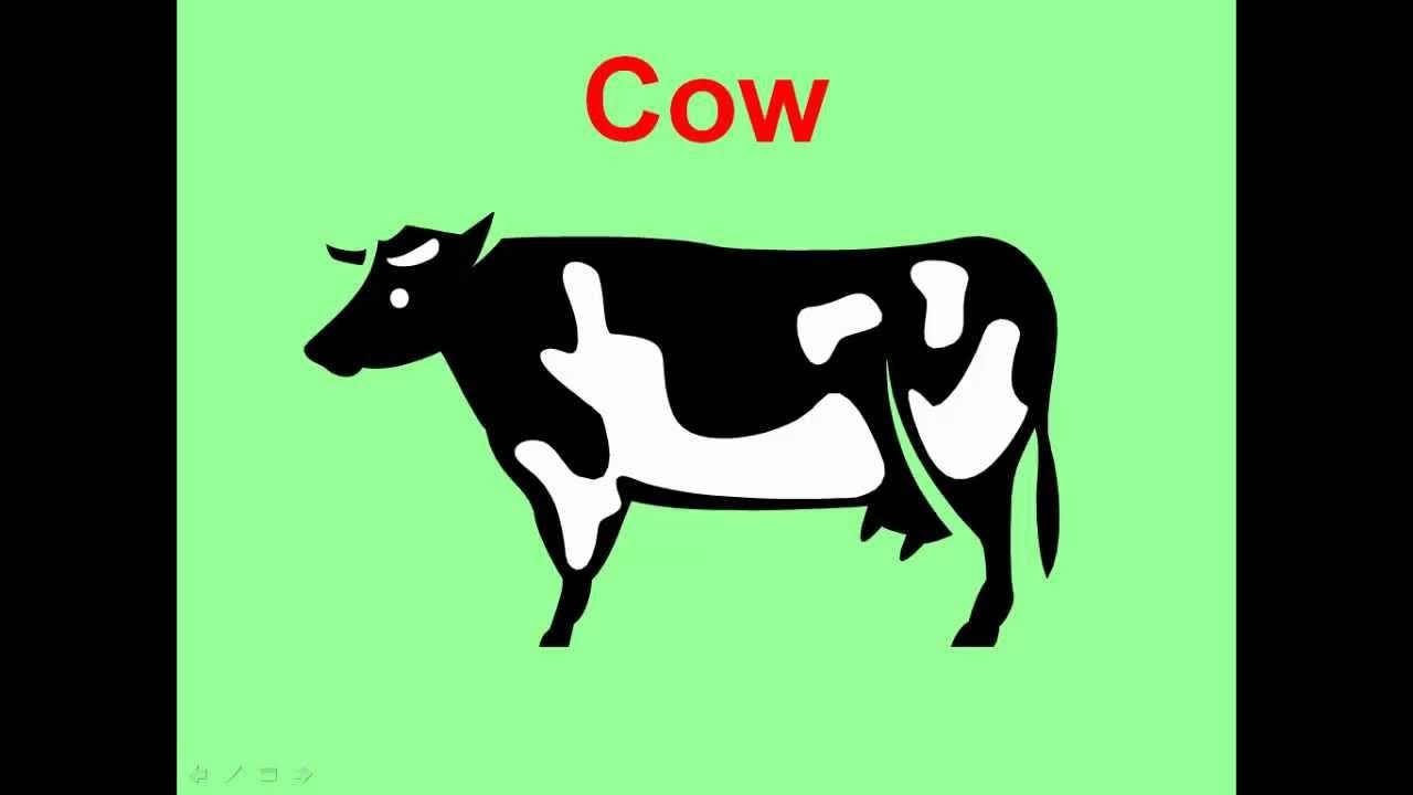 Cow язык программирования. C a w перевод. Cow на английском. C a w перевод. Cow перевод.