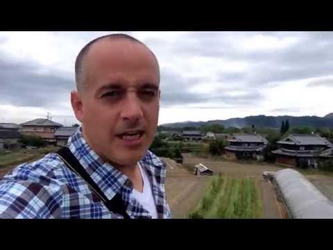Sunday Morning in the Japanese Countryside